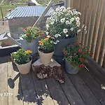 Family-friendly In Vagan, Lofoten * Orsvag