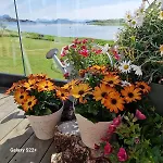 Family-friendly In Vagan, Lofoten Orsvag