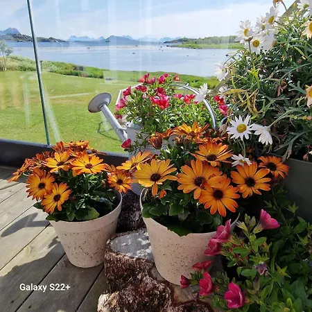 Family-friendly In Vagan, Lofoten Orsvag